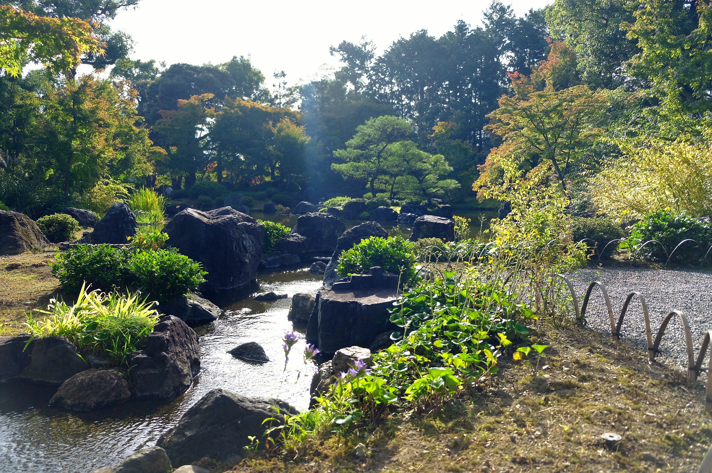 城南宫(京都市) - 旅游景点点评- Tripadvisor