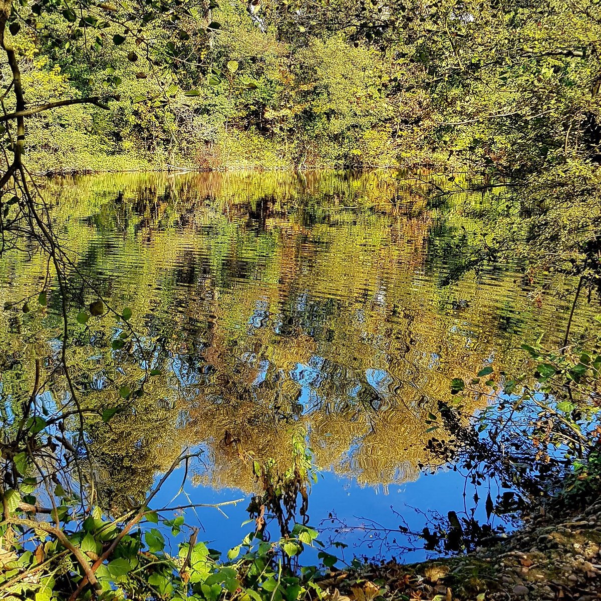 plantsbrook-community-nature-park-birmingham-2022-qu-saber-antes