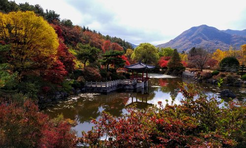 Picturesque pond on a cloudy day