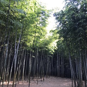 21年 釜山 プサン で絶対外さないおすすめ観光スポットトップ10 定番から穴場まで トリップアドバイザー 21年 釜山 プサン で絶対外さないおすすめ観光スポットトップ10 定番から穴場まで トリップアドバイザー