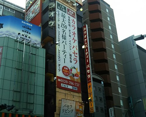 Tokyo Karaoke Tour - introducingtokyo