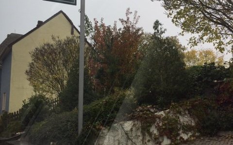 Schild