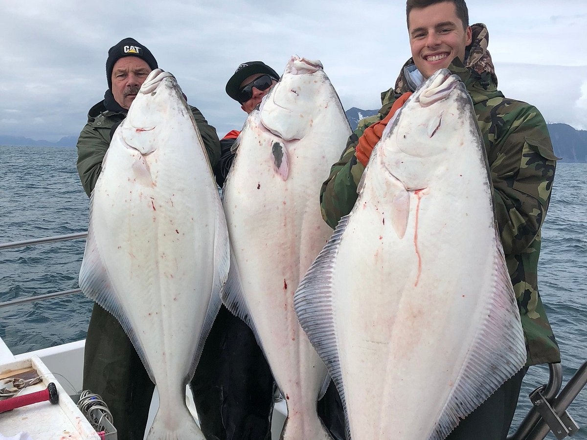 ProFishnSea Charters (Seward) All You Need to Know BEFORE You Go