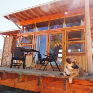 Room 4, dog's name is Frida, part of the dog staff at Casa Mayoral.