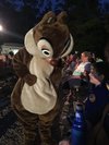 Fogueira do Tico e Teco - Avaliações de viajantes - Chip 'n' Dale's  Campfire Sing-A-Long - Tripadvisor