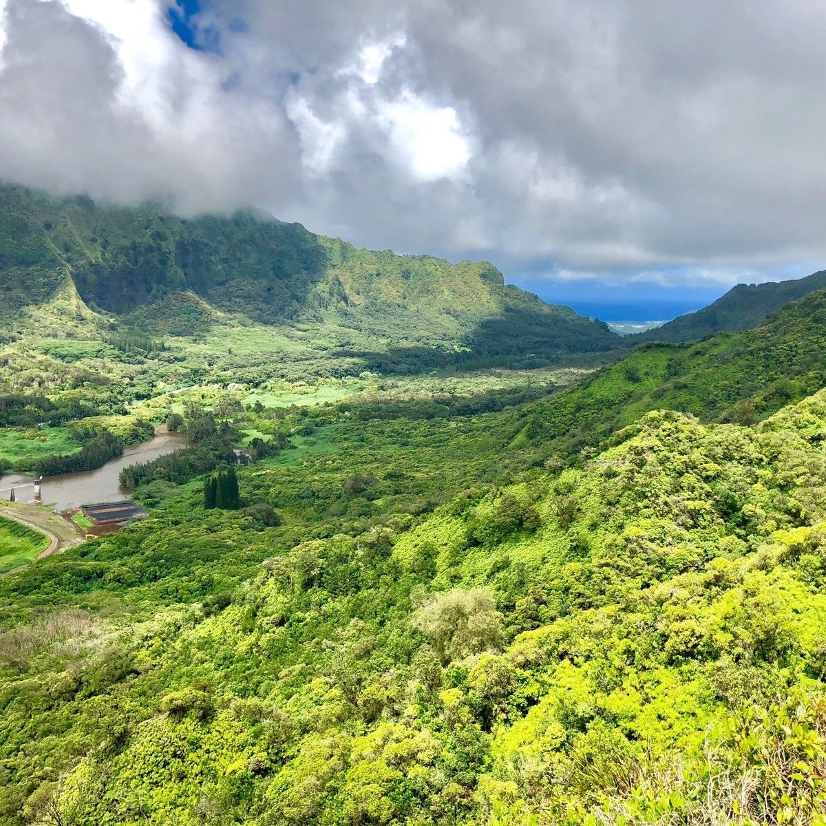 Aihualama Trail (Honolulu) - All You Need to Know BEFORE You Go