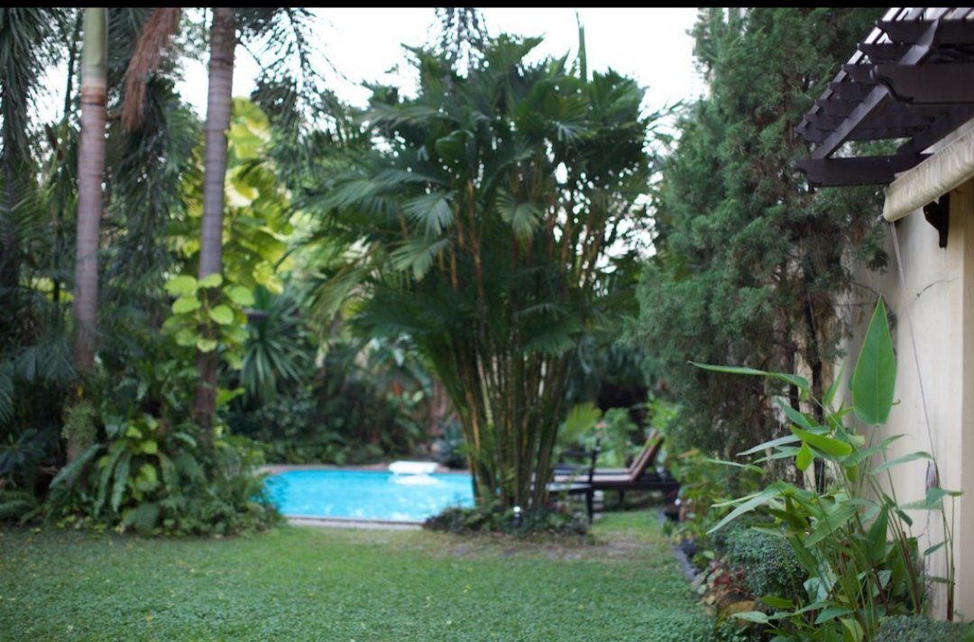 Hotel photo 14 of Yodia Heritage Hotel.