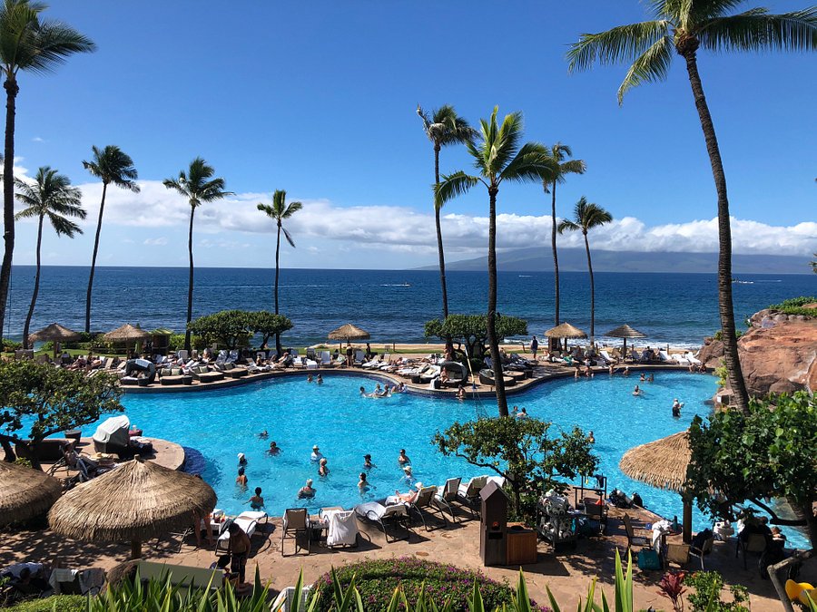 tripadvisor hawaii travel forum