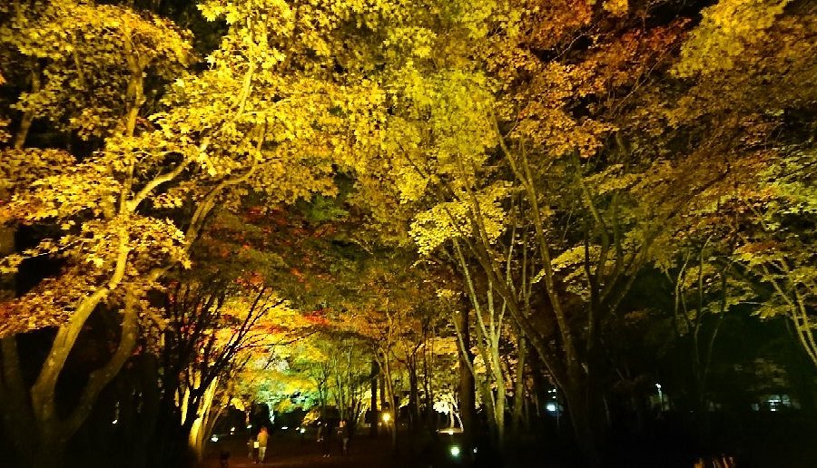 Miharashi Park (Kosetsuen) image