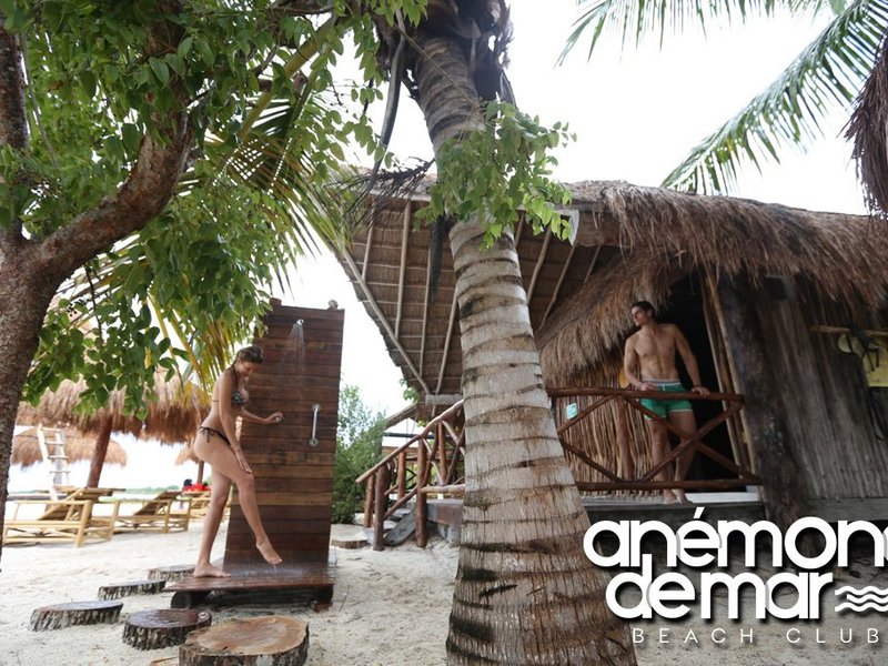 ANEMONA DE MAR BEACH, San Miguel de Cozumel - Menu, Prices & Restaurant  Reviews - Tripadvisor