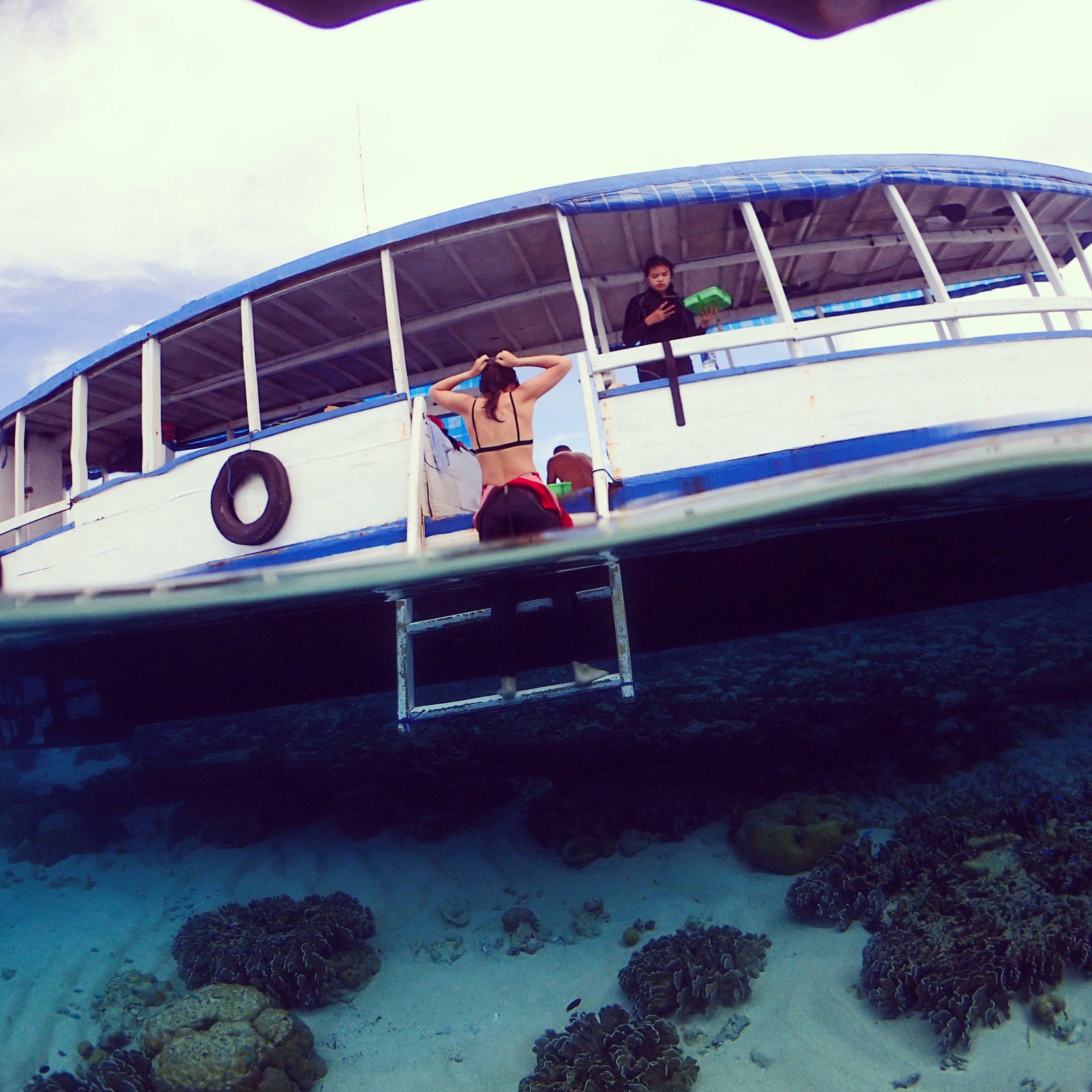 TOMIA SCUBA DIVE (Tomia Island) - 2023 Qué Saber Antes De Ir - Lo Más ...