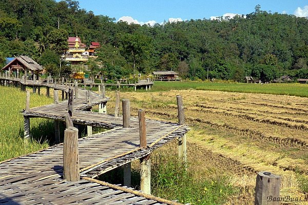 11 Best Hotels in Pai, Thailand