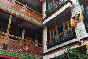 Phòng & Phòng Suite