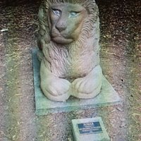 Jumar protecting the entrance