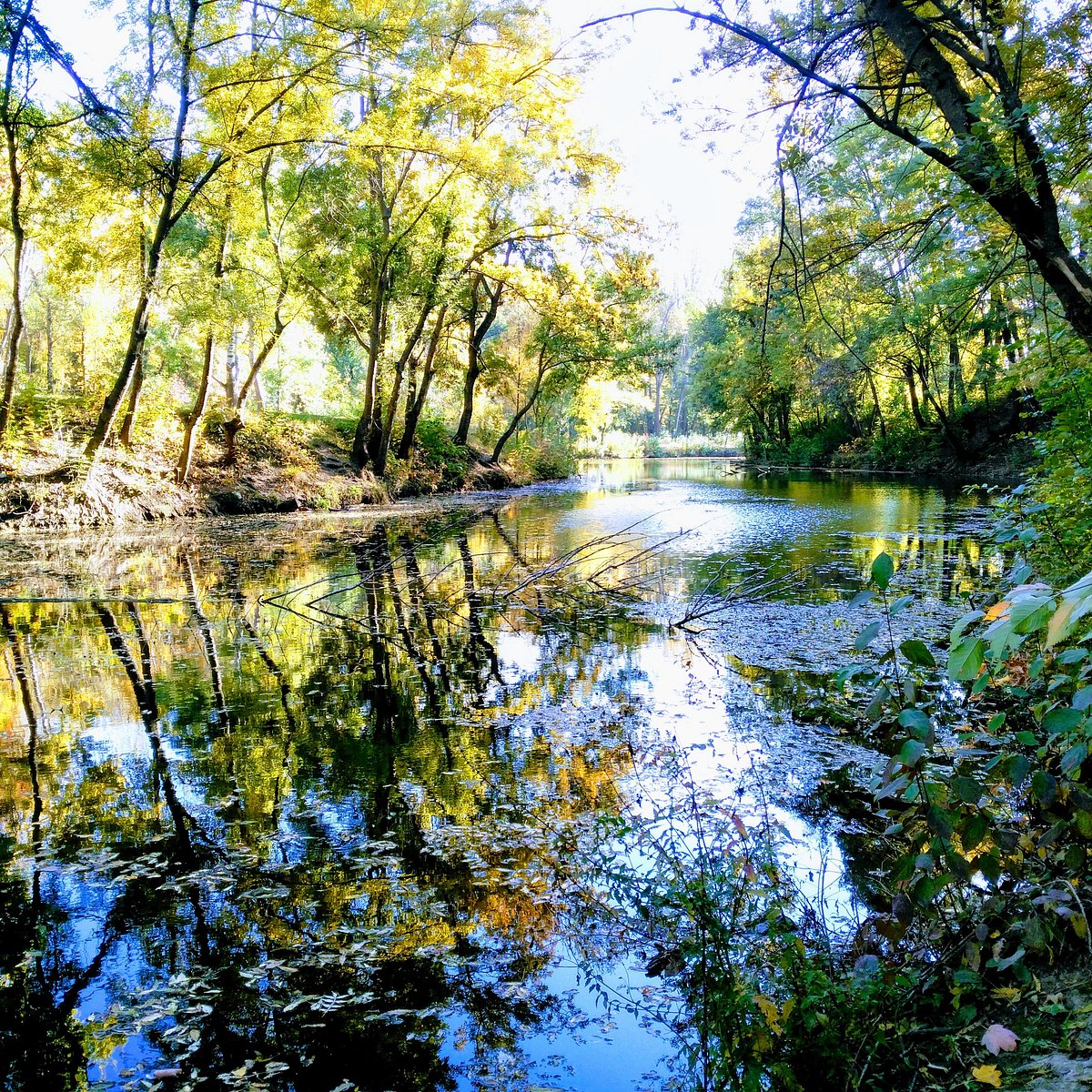 Парк utm Кишинев. Parcul. Rascani.