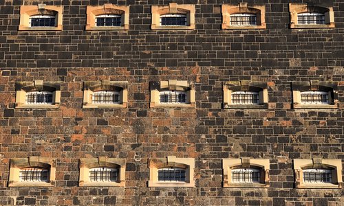 D Block cells