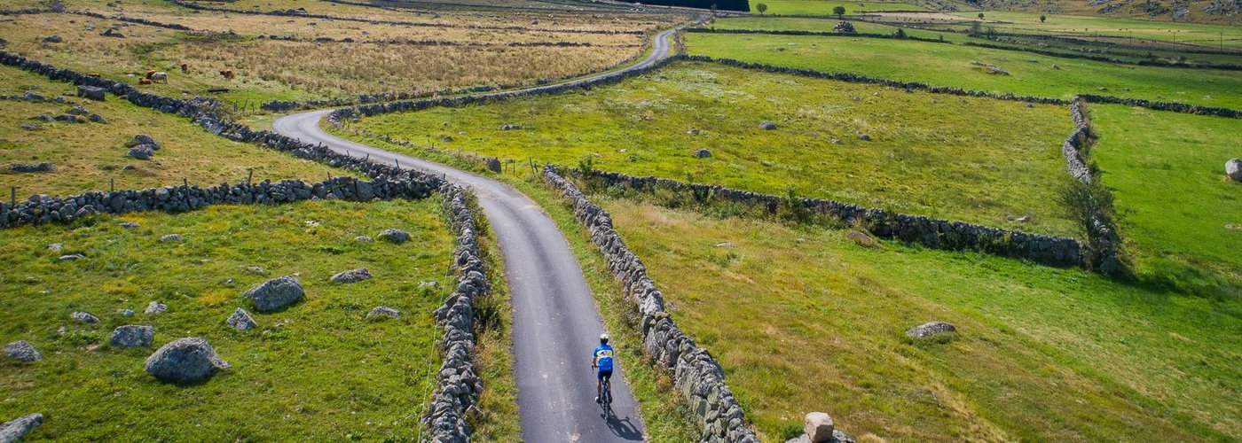 Vers Rieutort d'Aubrac, une petite route qui rejoint Marchastel...