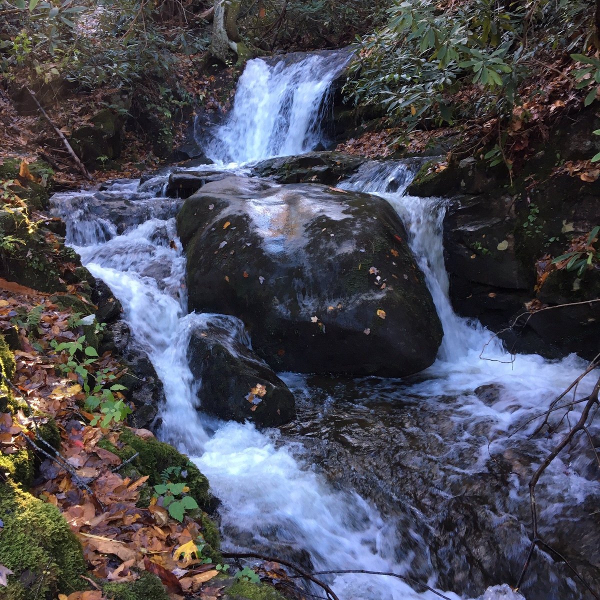 Great Smoky Mountains пешеходная тропа