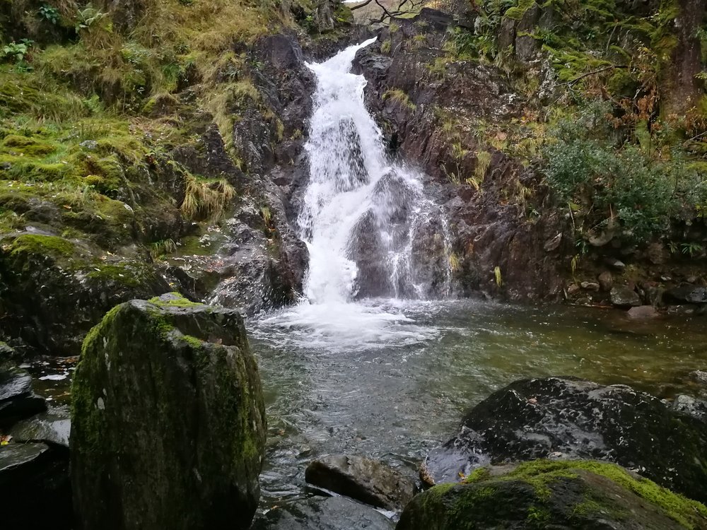 The 10 Best Things to Do in Beddgelert - 2024 (with Photos)