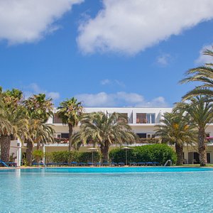 Hotel - Pool - PalmTrees
