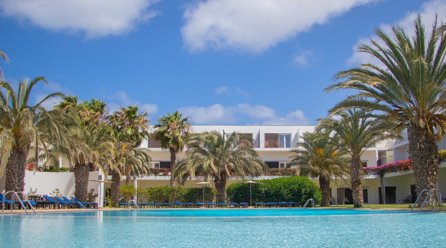 Hotel - Pool - PalmTrees