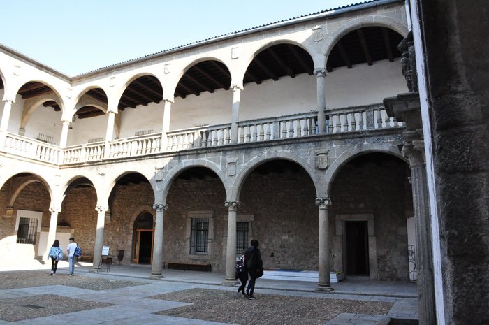 Imagen 7 de Palacio Ducal de Béjar