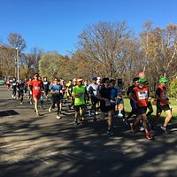 マラソンを参加するため真駒内公園に行ってきた。広大な面積で走るか歩くかい良い心地です。