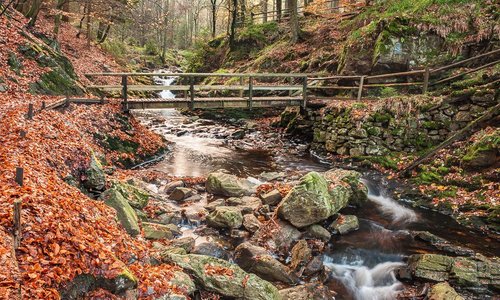 many small bridges to cross the river