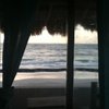 GENA_8