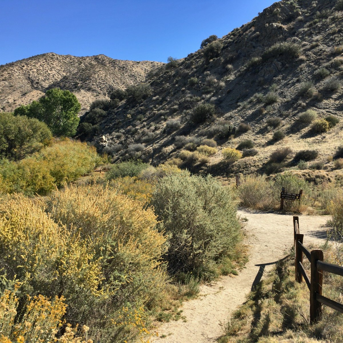 big-morongo-canyon-preserve-morongo-valley-lohnt-es-sich