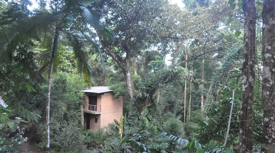 vista da área externa do chalé