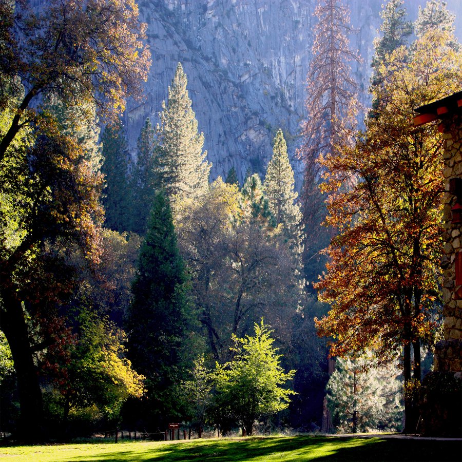 UPPER PINES CAMPGROUND - Reviews (Yosemite National Park, CA) - Tripadvisor