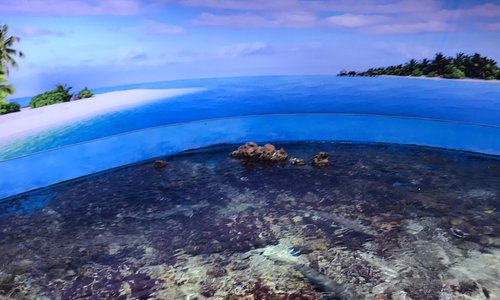 Planet Ocean Montpellier