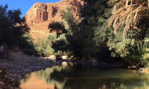 Les gorges valent le détour. À faire idéalement en vélo et s’arrêter pour déjeuner à l’Auberge de Tiwadou chez Sahnoune ( réserver le matin son Tajine). Un grand moment et une famille aux petits soins