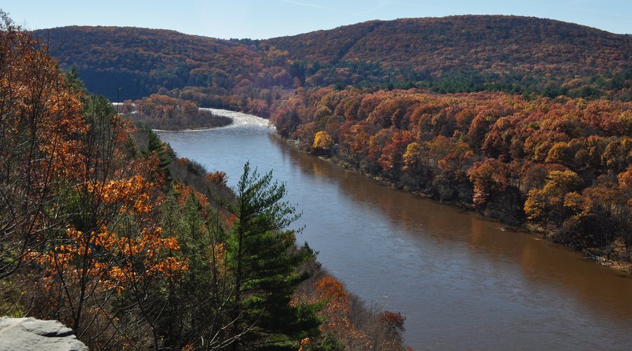 View South