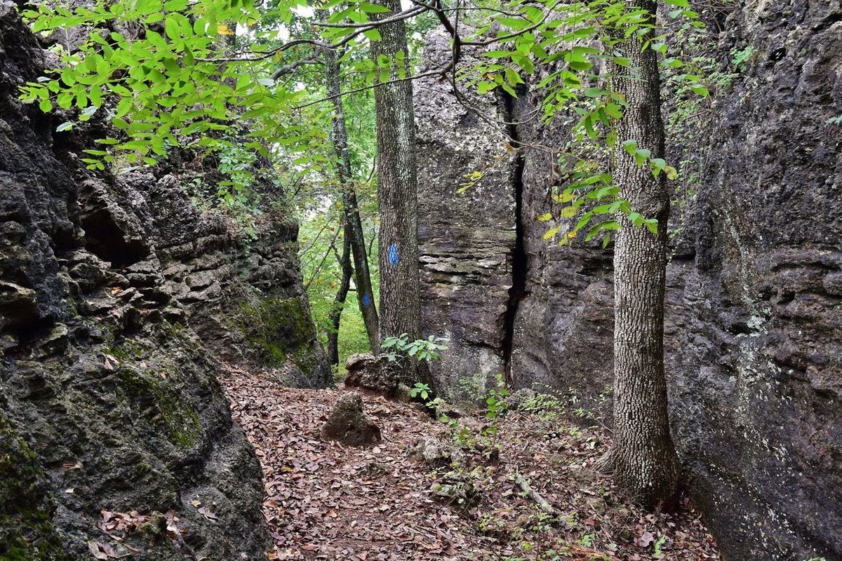 Elk City State Park: Kansas' Hidden Gem for Outdoor Enthusiasts