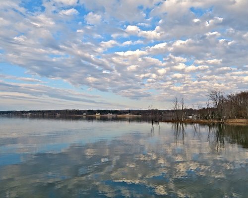 THE 15 BEST Things to Do in Shelburne - 2024 (with Photos) - Tripadvisor