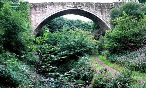 Causey Arch