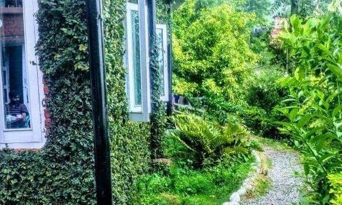 getlstd_property_photo