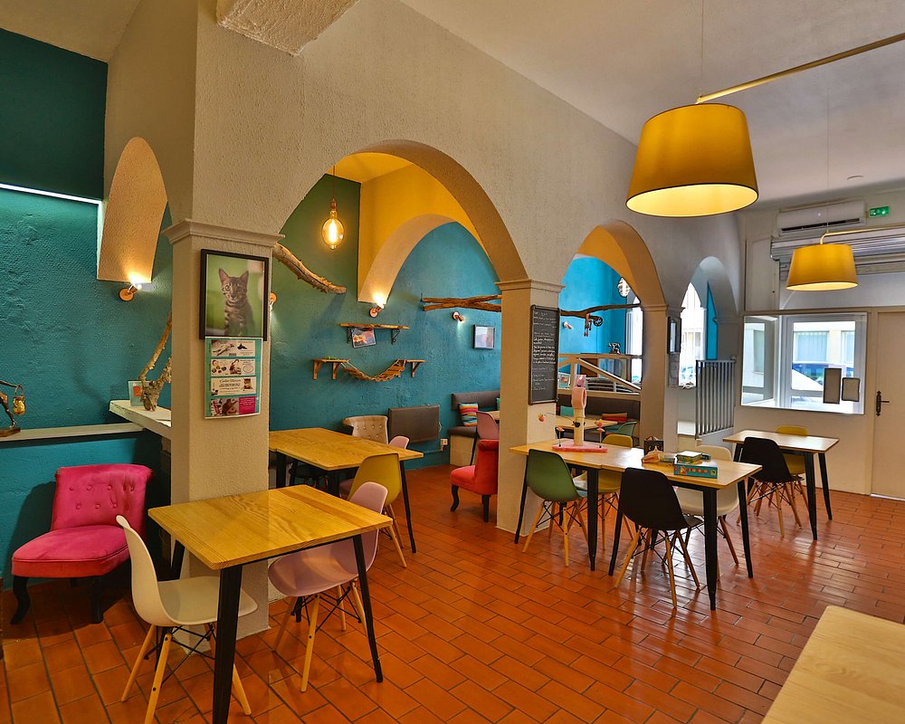 Les Arestochats Perpignan Menu Prix Restaurant Avis Tripadvisor