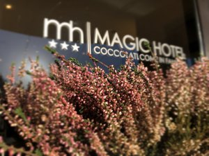 Magic Hotel in Atena Lucana, image may contain: Bud, Grass, Potted Plant, Amaranthaceae