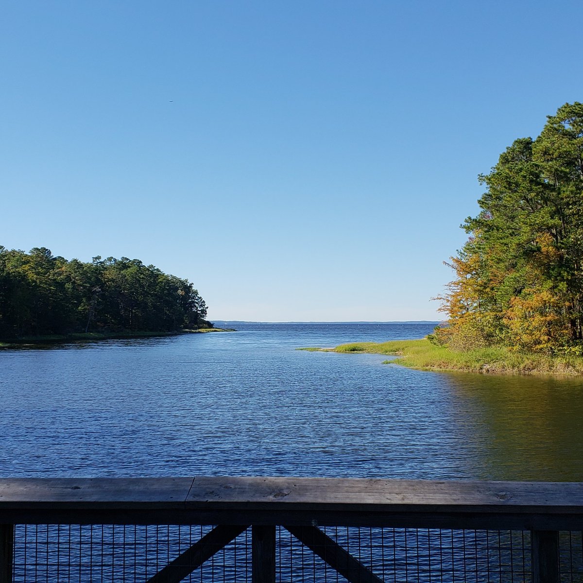 List 27+ Photos south toledo bend state park photos Completed