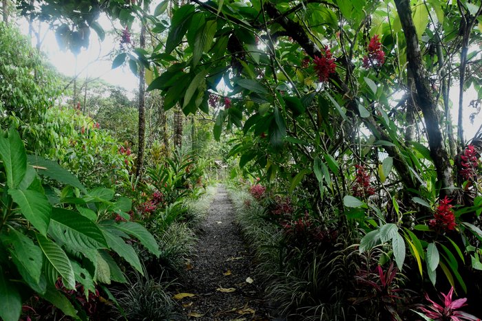 LOS YAPAS HOLISTIC CENTER - Lodge Reviews (Puyo, Ecuador)