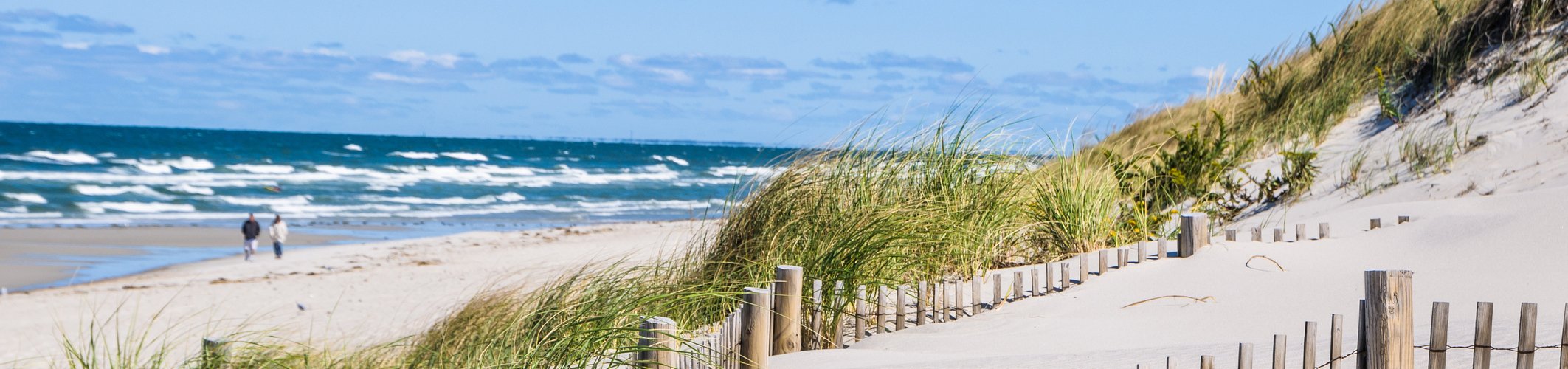 cape cod best beaches