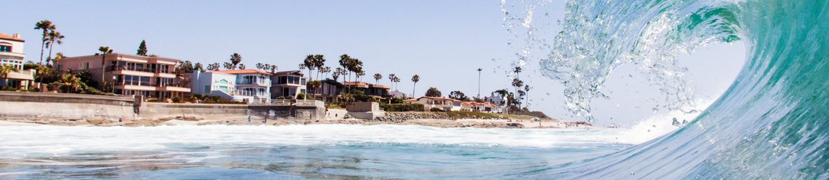 La Jolla Town Council coastal forum airs concerns about sea lions, bluffs  and Gliderport - La Jolla Light