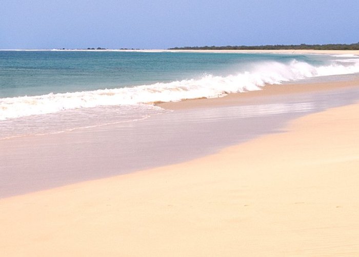 Boa Vista 2024 Best Places to Visit Tripadvisor