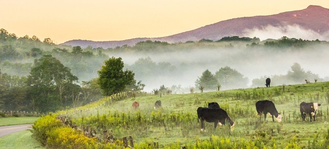 Boone 2021: Best of Boone, NC Tourism - Tripadvisor