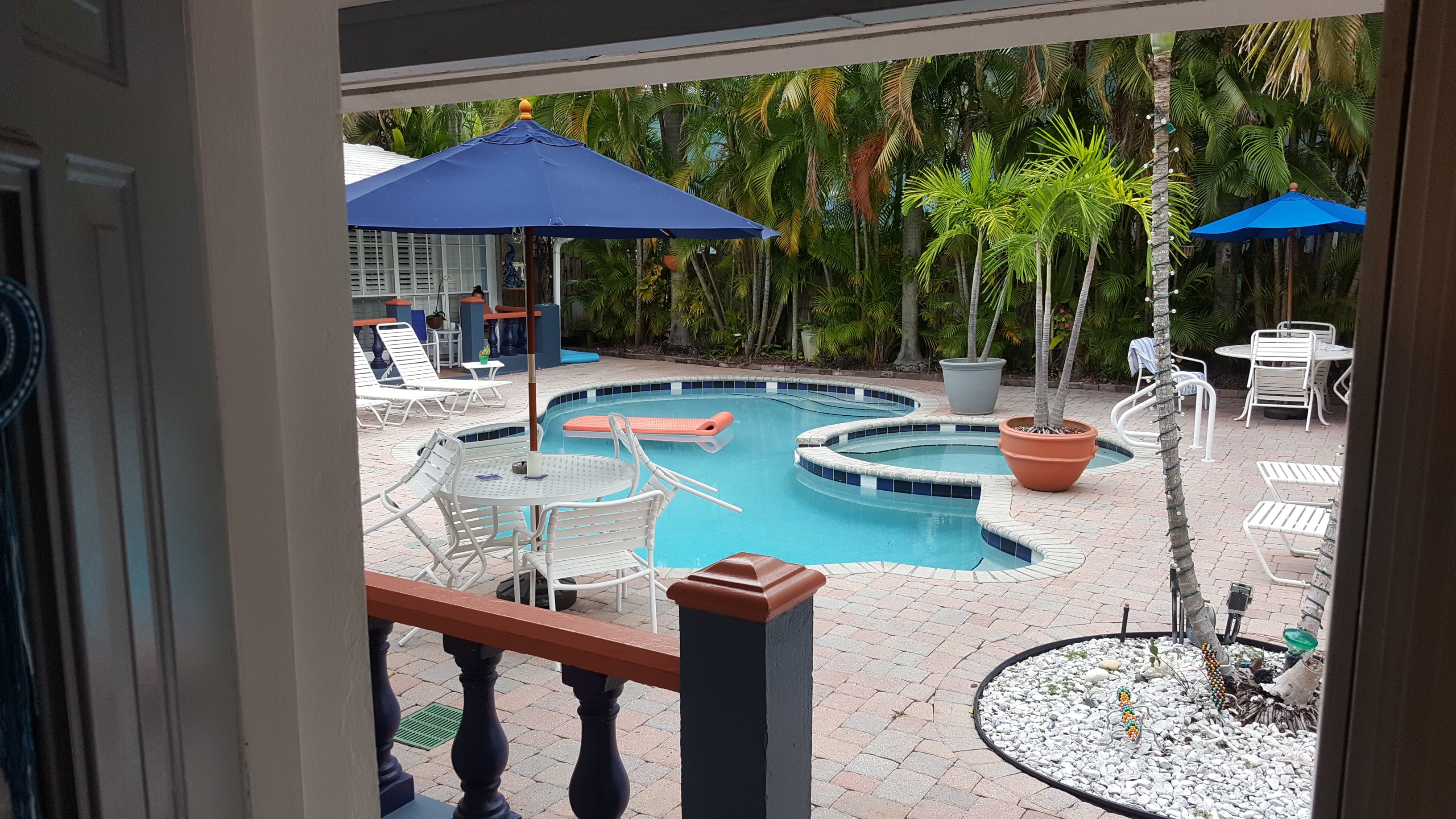 Coral Reef Guesthouse Pool: Pictures & Reviews - Tripadvisor