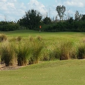 PANTHER LAKE GOLF COURSE (Winter Garden): Ce qu'il faut savoir