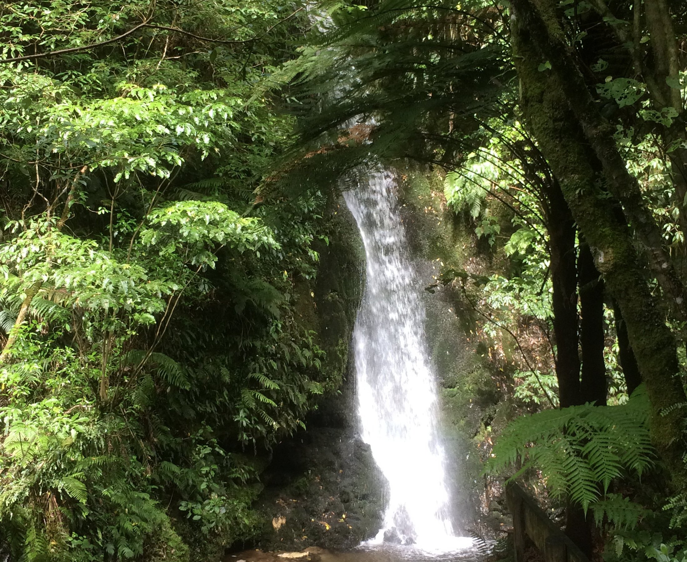 ND Kiwi Tours - Katikati - ND Kiwi Tours의 리뷰 - 트립어드바이저